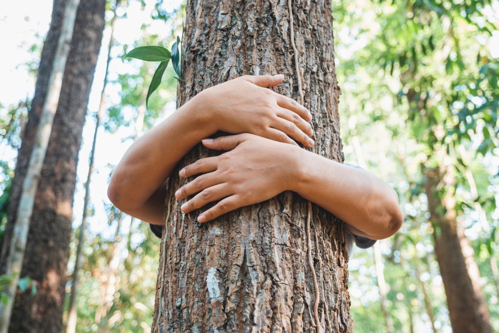 Zwei Kinderarme, die einen Baum umarmen.