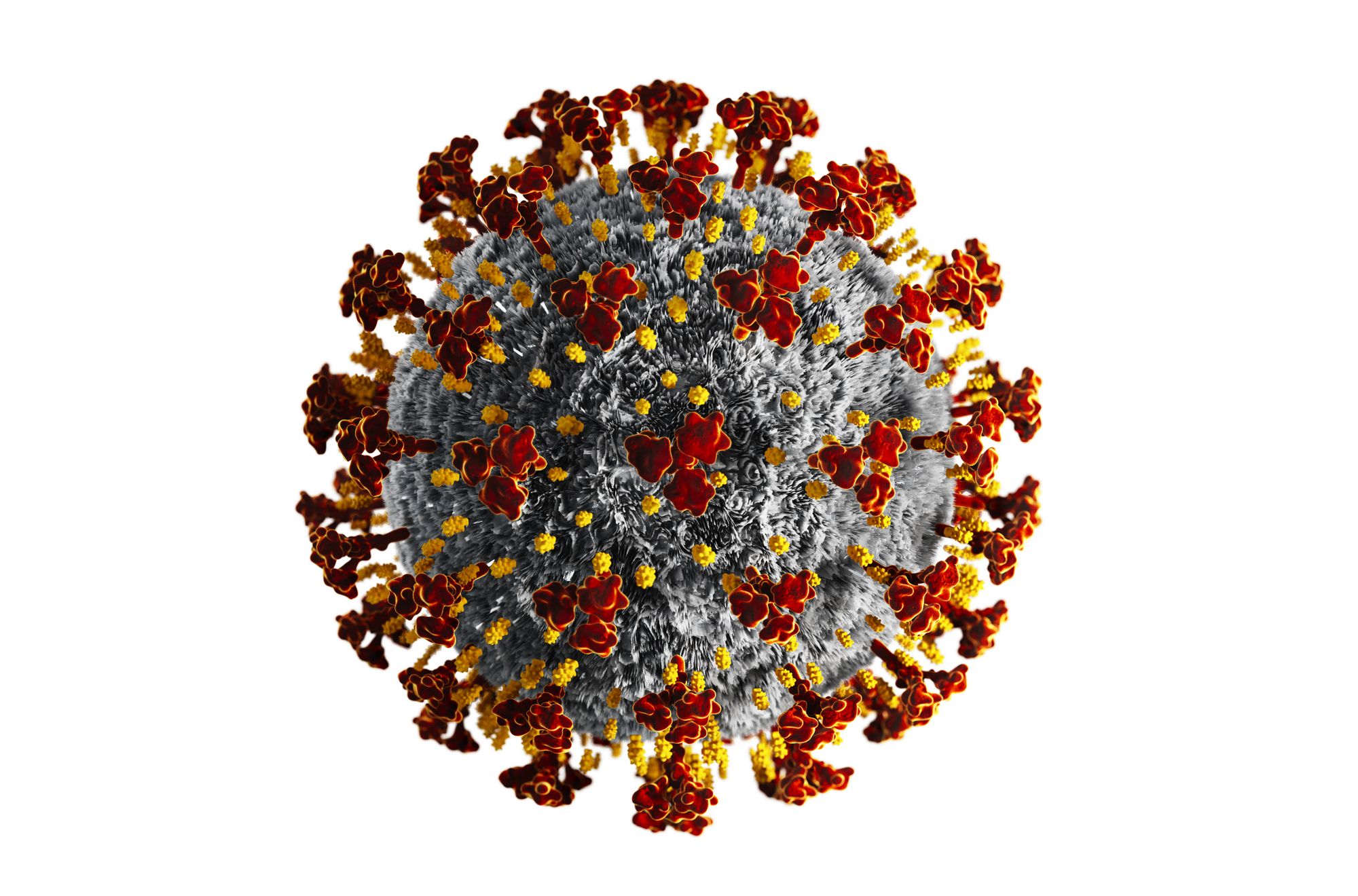 Coronavirus und Vergaberecht